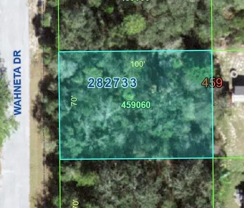 1211 Wahneta Dr, Poinciana, FL 34759