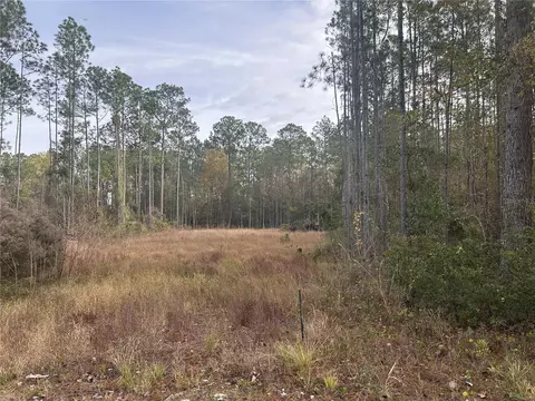 75726 Edwards Rd, Yulee, FL 32097 photo 2