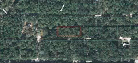 225 Th Pl, Fort Mc Coy, FL 32134