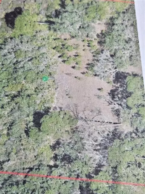 Spring Garden Ranch Road, De Leon Springs, FL 32130