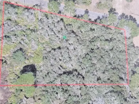 Spring Garden Ranch Road, De Leon Springs, FL 32130