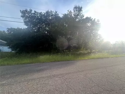 0000 Guava Ter #4, Ocklawaha, FL 32179