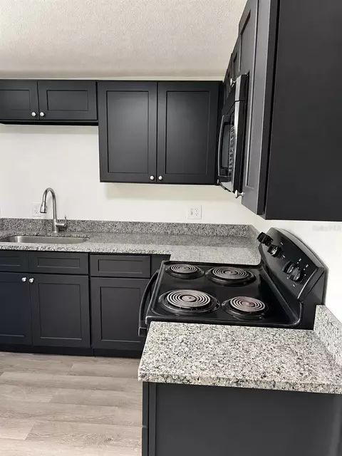 Kitchen - 104 S Grove St, Eustis, FL 32726 photo 3 of 5
