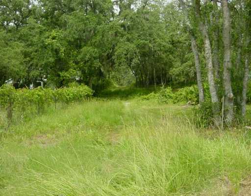 3936 Chaplain Rd, Saint Cloud, FL 34772 photo 1