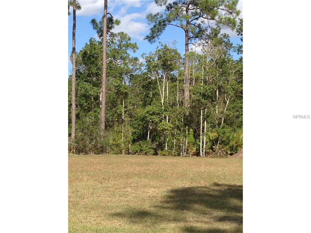 7133 Oak Glen Trl, Saint Cloud, FL 34773 photo 1