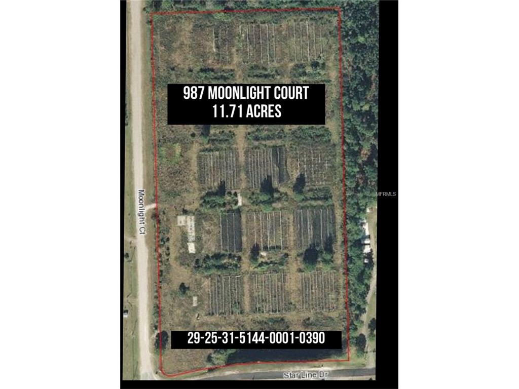 987 Moonlight Ct, Saint Cloud, FL 34771 photo 1