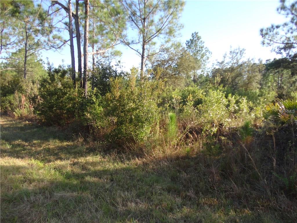8541 Primavera St, Sebring, FL 33872 photo 1