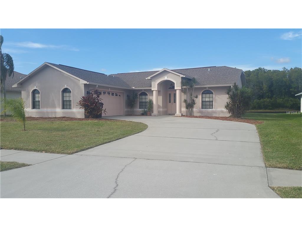 2224 Summer Raye Ct, Saint Cloud, FL 34772 photo 1