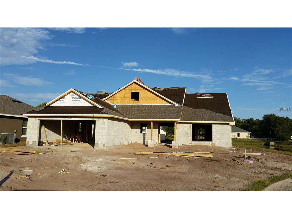 3121 Drema, Saint Cloud, FL 34769 photo 1