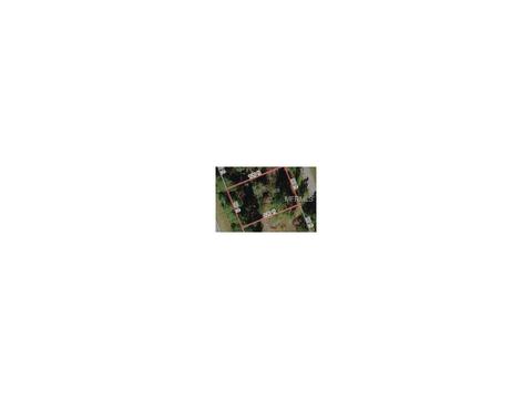 1553 Marlin Dr, Poinciana, FL 34759