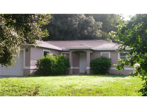 1007 Grape Ave, Saint Cloud, FL 34769 photo 1