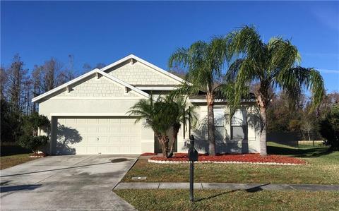 3787 Moon Dancer Pl, Saint Cloud, FL 34772 photo 1