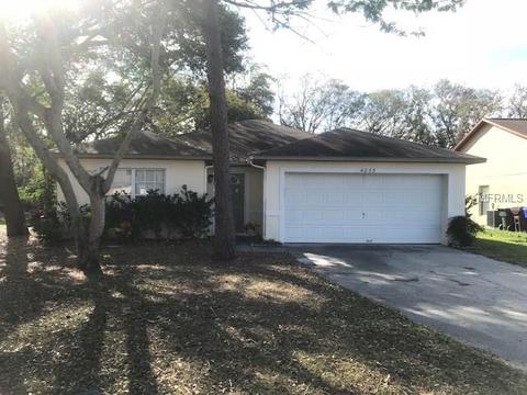 4033 Niles Way, Saint Cloud, FL 34769 photo 1