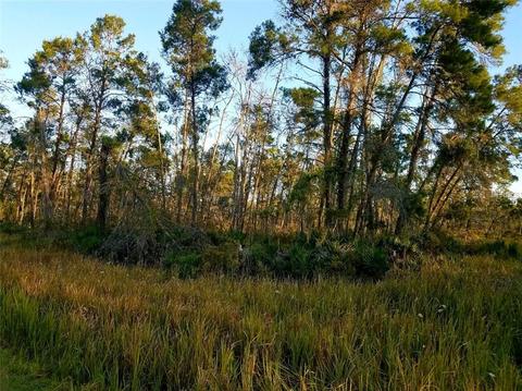 501 Parakeet Ave, Sebring, FL 33872 photo 1