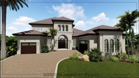 2950 Burberry Pl, Saint Cloud, FL 34772 photo 1