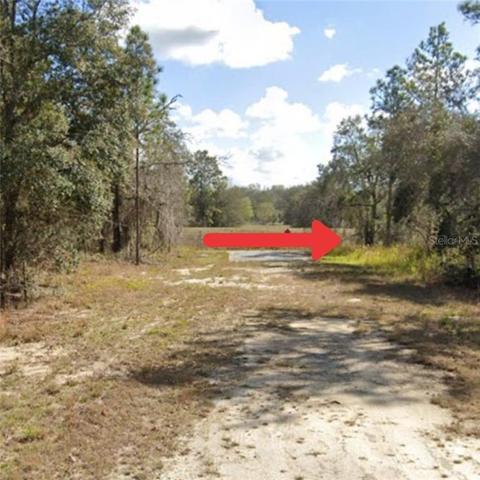 Red Thrush Avenue, Weeki Wachee, FL 34614