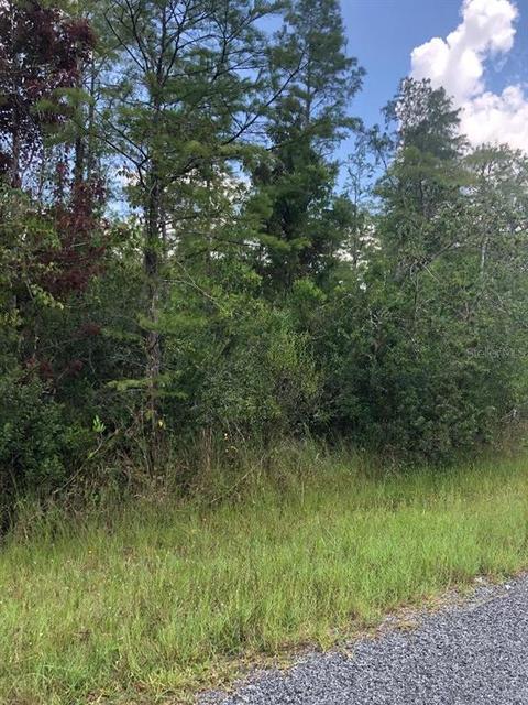 9395 Denver Dr, Saint Cloud, FL 34773 photo 1