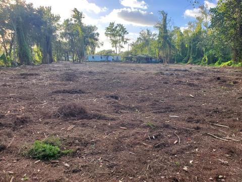 3975 Hickory Tree Rd, Saint Cloud, FL 34772 photo 1
