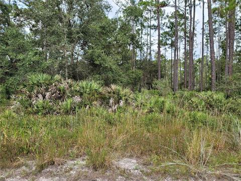 215 Hudson St, Interlachen, FL 32148 photo 1