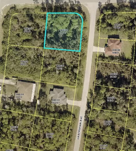 1008 Habershan Ave, Lehigh Acres, FL 33974
