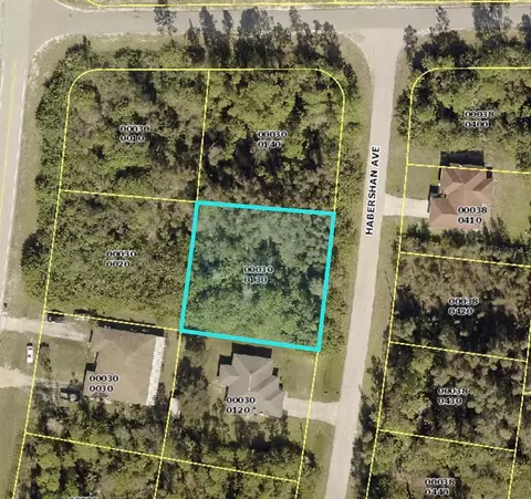 1012 Habershan Ave, Lehigh Acres, FL 33974