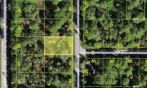 461 Champion St, Port Charlotte, FL 33953