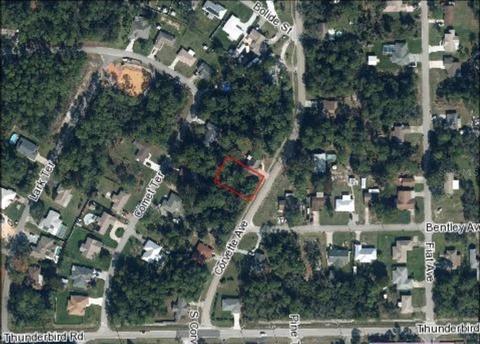 217 S Corvette Ave, Sebring, FL 33872 photo 1