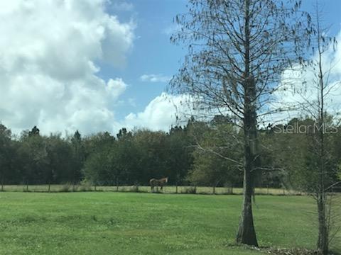 Michigan Avenue, Saint Cloud, FL 34769