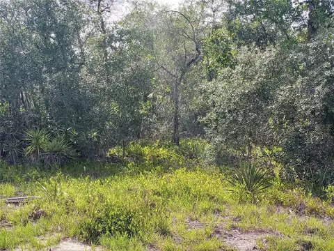 1425 Orlando Way, Kissimmee, FL 34759