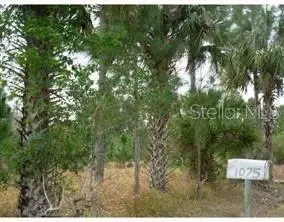 1075 E Osceola Rd, Geneva, FL 32732