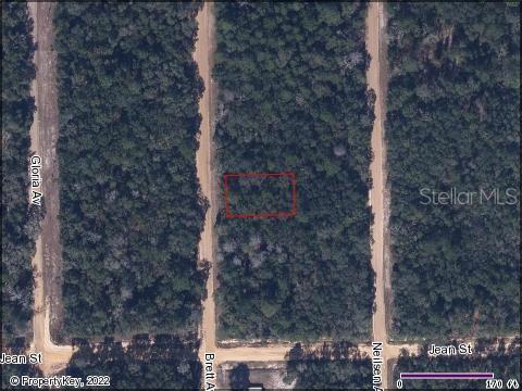 Interlachen Lake Estates, Palatka, FL 32178