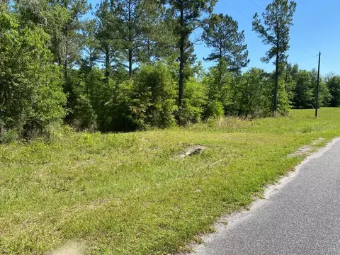 168 Th Ter, Wellborn, FL 32094