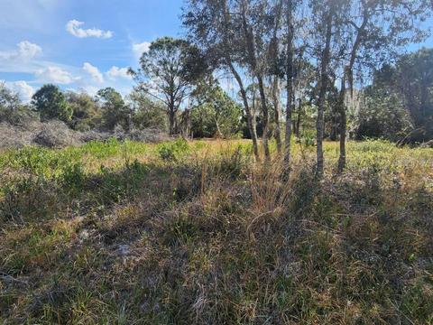 225 Red Fox Drive Dr, Sebring, FL 33876 photo 1