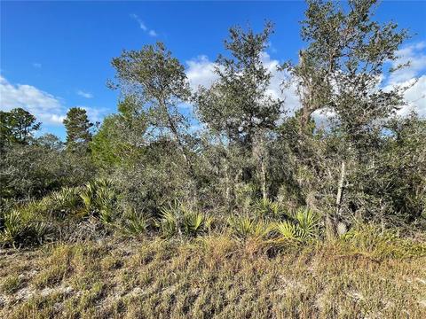 239 Roadrunner Ave, Sebring, FL 33870 photo 1