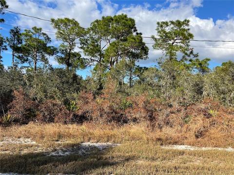 205 Tern Ave, Sebring, FL 33870 photo 1