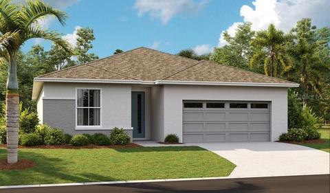 320 Pink Ibis Ct, Saint Cloud, FL 34772 photo 1