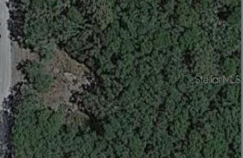 Atlee, New Port Richey, FL 34654