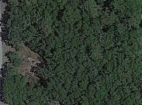 Pana, New Port Richey, FL 34654