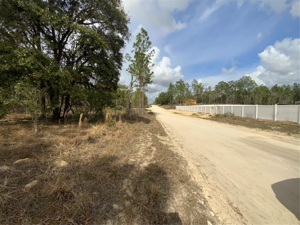 SE 148 Avenue, Williston, FL 32696 photo 1