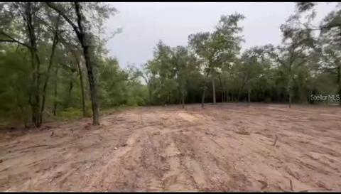 NE 83rd Lane, Bronson, FL 32621