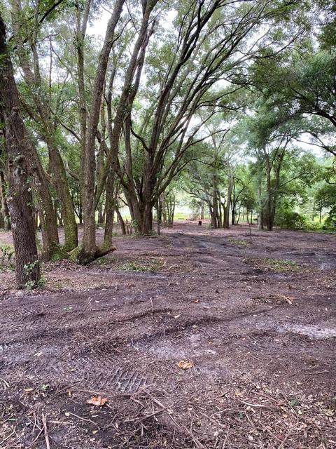 28946 SE 175th Pl, Umatilla, FL 32784