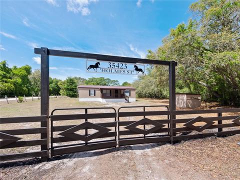 35423 Holmes St, Webster, FL 33597