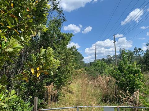 6085 Jones Rd, Saint Cloud, FL 34771