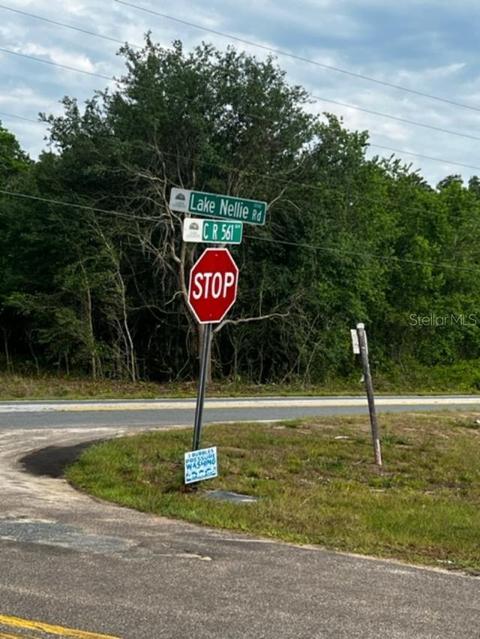 Sandy Ridge Avenue, Clermont, FL 34711