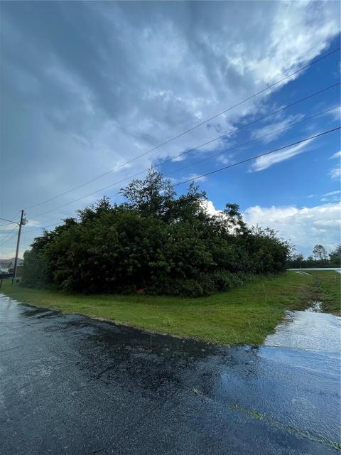 Brixham Court, Kissimmee, FL 34758