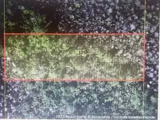 Holopaw Road, Saint Cloud, FL 34773