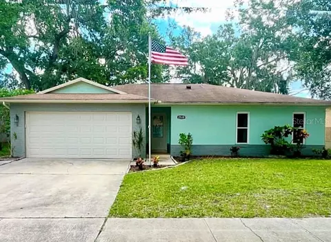 2519 Christine Dr, Kissimmee, FL 34744