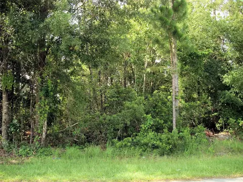 310 Marquee Dr, Kissimmee, FL 34758