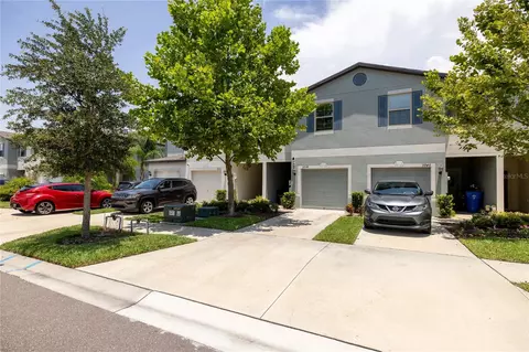 3938 Cat Mint St, Tampa, FL 33619