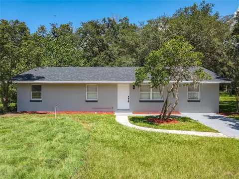 3907 Holly Ct, Mount Dora, FL 32757